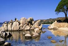 天涯社区打油诗社的欢乐时光